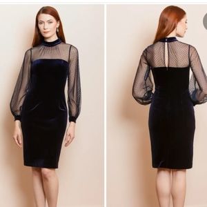 NWT Eliza J. Velvet Mockneck Mesh Long Sleeve Mesh Long Sleeve Dot Lined Dress